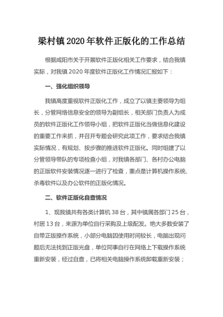 乡镇软件正版化工作总结