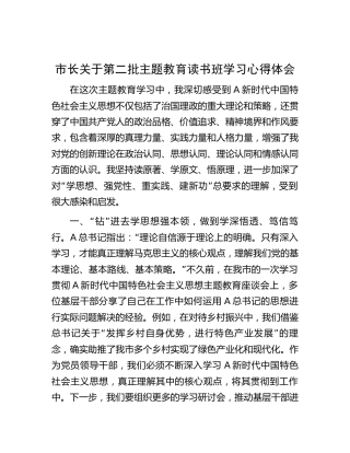 市长第二批主题教育读书班学习心得体会1200字