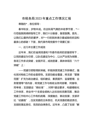 市税务系统重点工作情况总结汇报