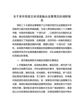 市商旅文体深度融合发展情况的调研报告