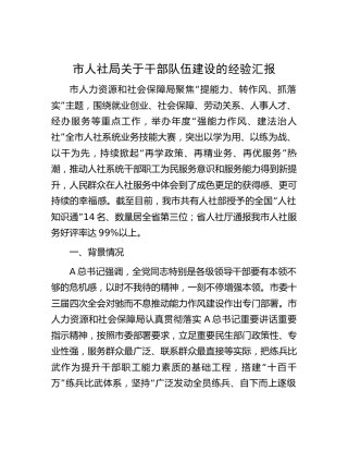 市人社局干部队伍建设经验总结汇报2200字
