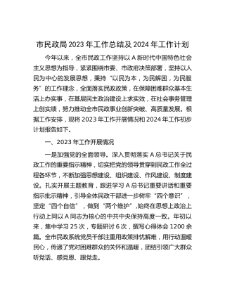 市民政局2023年工作总结