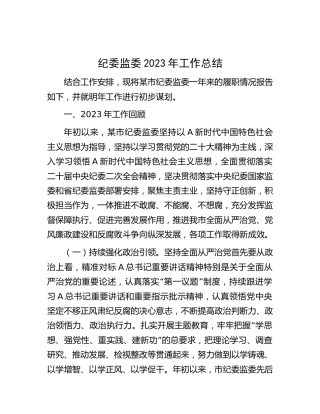 市纪委监委2023年工作总结3700字