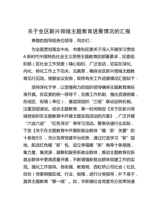 全区新兴领域主题教育进展情况总结汇报