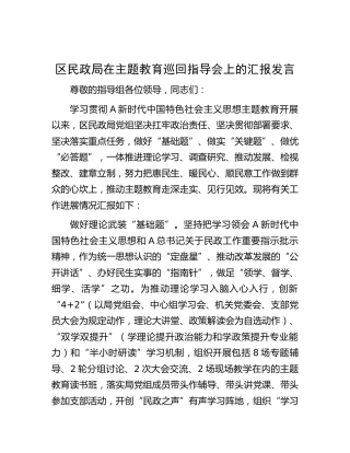 区民政局在主题教育巡回指导会上的汇报发言（总结）