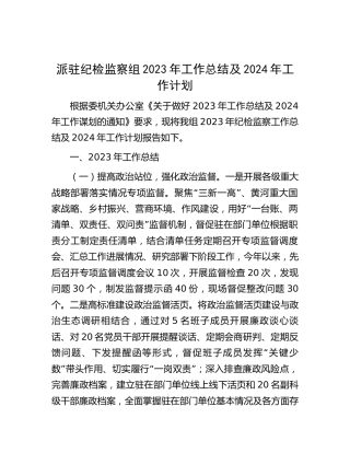 派驻纪检监察组2023年工作总结4100字