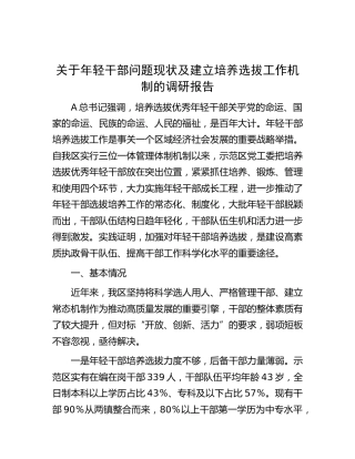年轻干部问题现状及建立培养选拔工作机制的调研报告