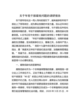 年轻干部腐败问题的调研报告