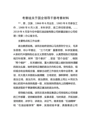 考察组关于国企公司领导干部考察报告