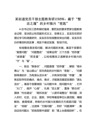 街道主题教育研讨发言：藏于“整改之履”的乡村振兴“密匙”