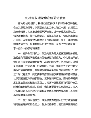 纪检组长理论中心组研讨发言（提升政治三力、锻造打铁队伍）