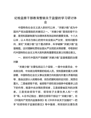 纪检监察干部教育整顿关于监督的学习研讨发言（3800字心得）
