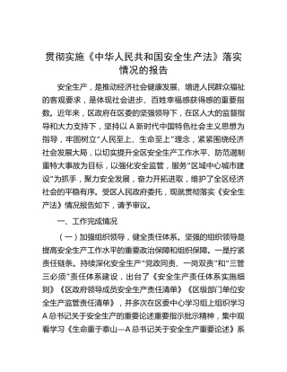 贯彻实施《安全生产法》落实情况报告