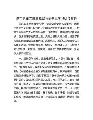 副市长第二批主题教育读书班学习研讨发言