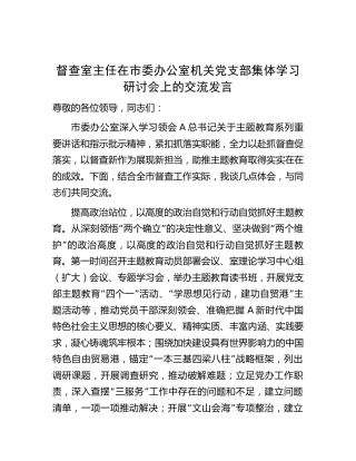 督查室主任在主题教育集体学习研讨会上的交流发言