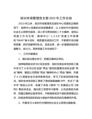 党支部2023年党建工作总结2300字
