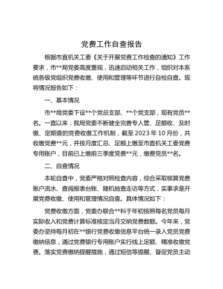 党费工作自查报告