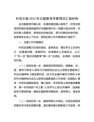 村党支部2023年主题教育开展情况总结汇报