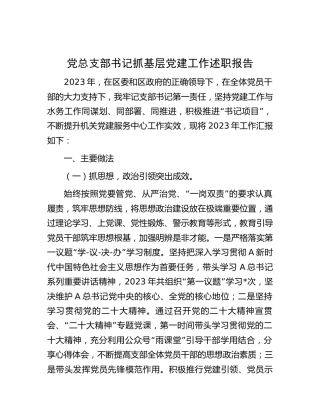 2023年总支部书记抓基层党建工作述职报告2900字
