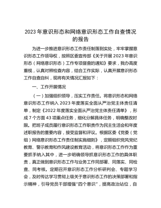 2023年意识形态和网络意识形态工作自查总结报告2000字