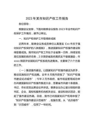 2023年市知识产权工作报告