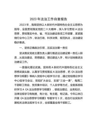 2023年法治工作自查报告3800字