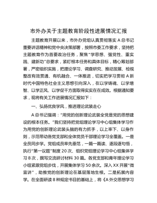 市外办主题教育阶段性进展情况总结汇报