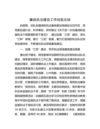 廉政执法建设工作经验总结（消防）