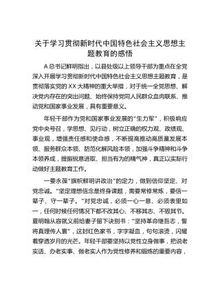 关于学习贯彻新时代中国特色社会主义思想主题教育的感悟