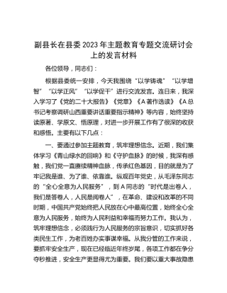 副县长在主题教育专题交流研讨会上的发言材料