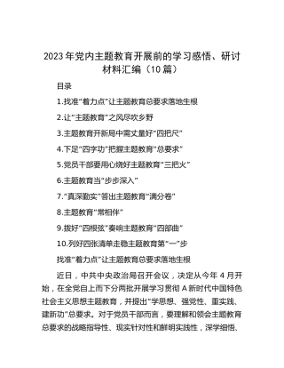 2023年主题教育开展前的学习心得体会、研讨发言10篇