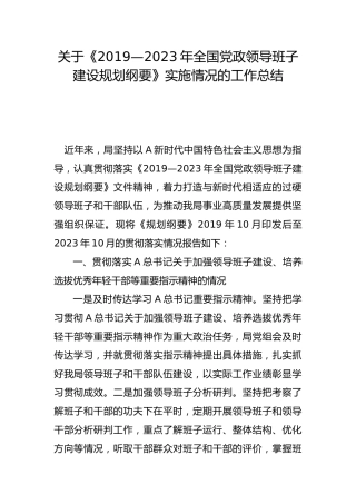 《2019—2023年全国党政领导班子建设规划纲要》实施情况的工作总结3800字