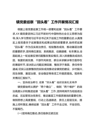 镇党委巡察“回头看”工作开展情况汇报