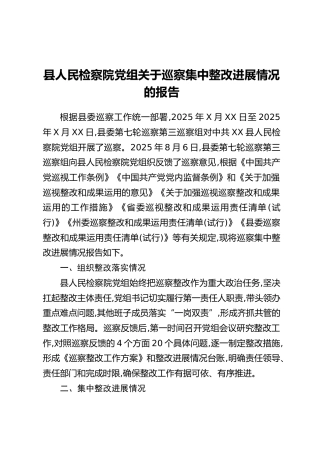 县人民检察院党组关于巡察集中整改进展情况的报告
