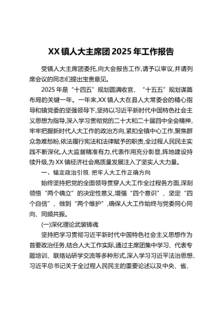 XX镇人大主席团2025年工作报告