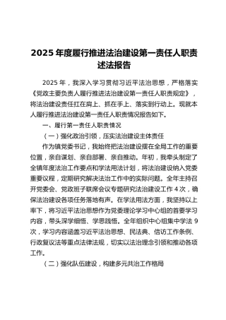 2025年度履行推进法治建设第一责任人职责述法报告