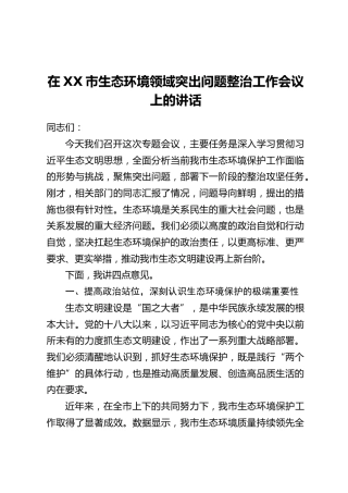 在XX市生态环境领域突出问题整治工作会议上的讲话