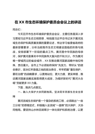 在XX市生态环境保护委员会会议上的讲话