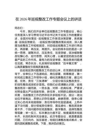 在2026年巡视整改工作专题会议上的讲话