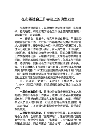 在市委社会工作会议上的典型发言