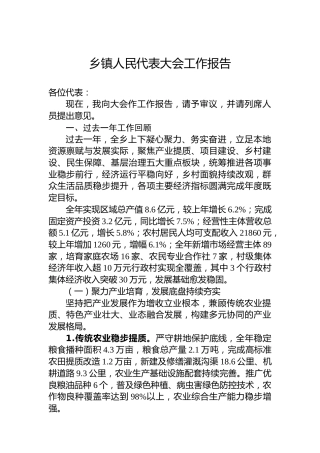 乡镇人民代表大会工作报告