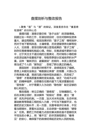 查摆剖析与整改报告