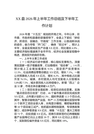 XX县2026年上半年工作总结及下半年工作计划