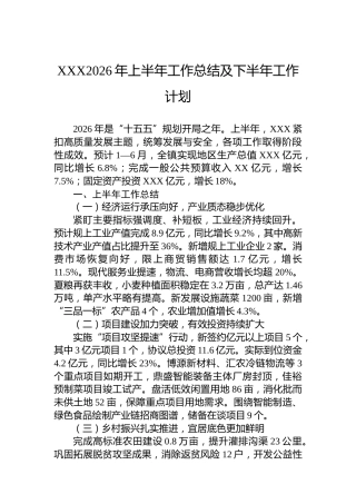 XXX2026年上半年工作总结及下半年工作计划