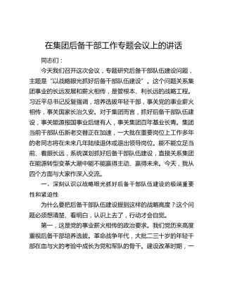 在集团后备干部工作专题会议上的讲话