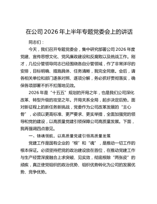 在公司2026年上半年专题党委会上的讲话