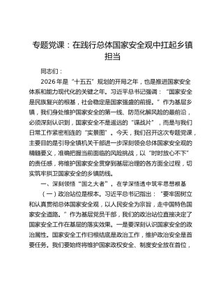 党课：在践行总体国家安全观中扛起乡镇担当