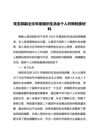 党支部副主任年度组织生活会个人对照检查材料