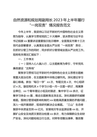 自然资源和规划局副局长2023年上半年履行“一岗双责”情况报告（工作汇报总结）