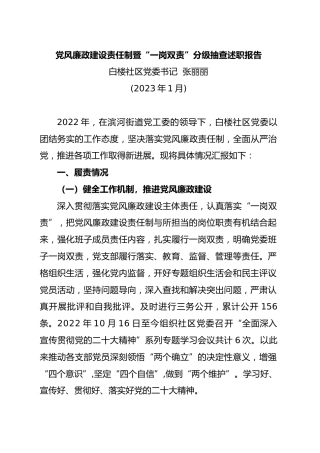 党风廉政建设责任制暨“一岗双责”分级抽查述职报告